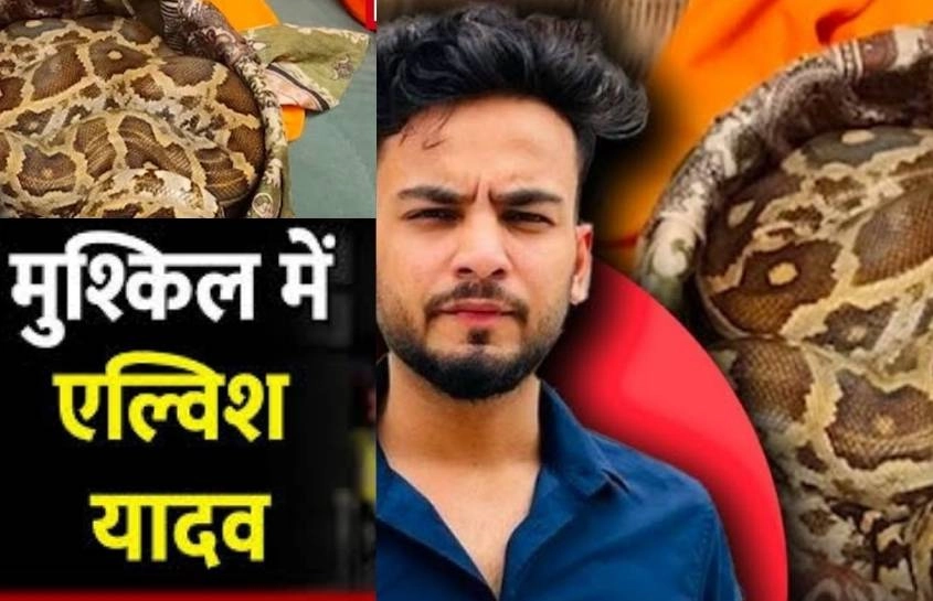 बढ़ सकती है एल्विश यादव की दिक्कतें