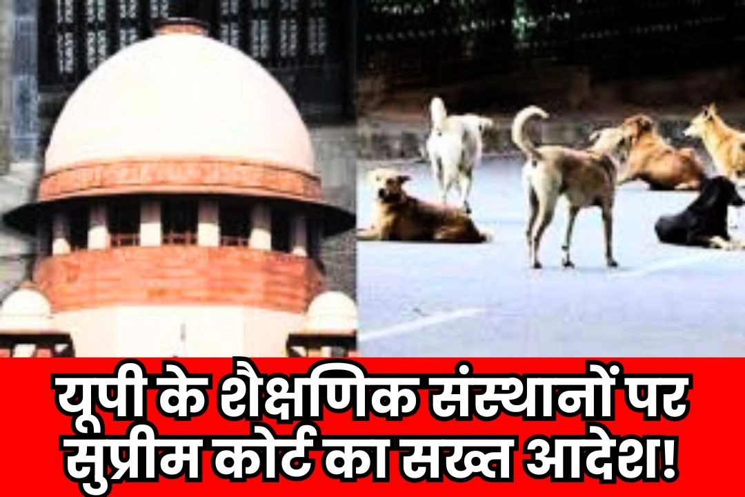 यूपी के शैक्षणिक संस्थानों पर सुप्रीम कोर्ट का सख्त आदेश!