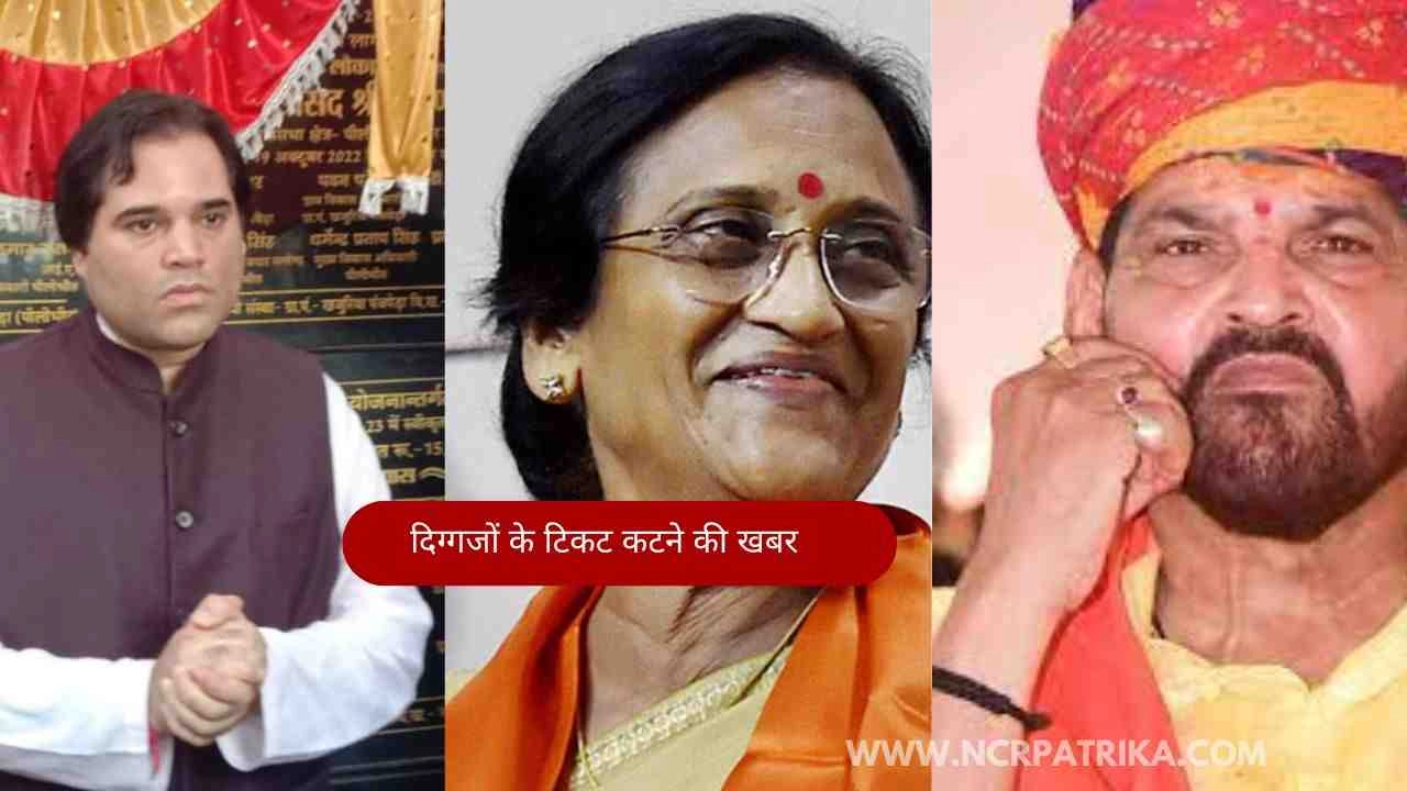 बीजेपी में वरुण गांधी, रीता बहुगुणा जोशी, वीके सिंह जैसे दिग्गजों के टिकट कटने की खबर?