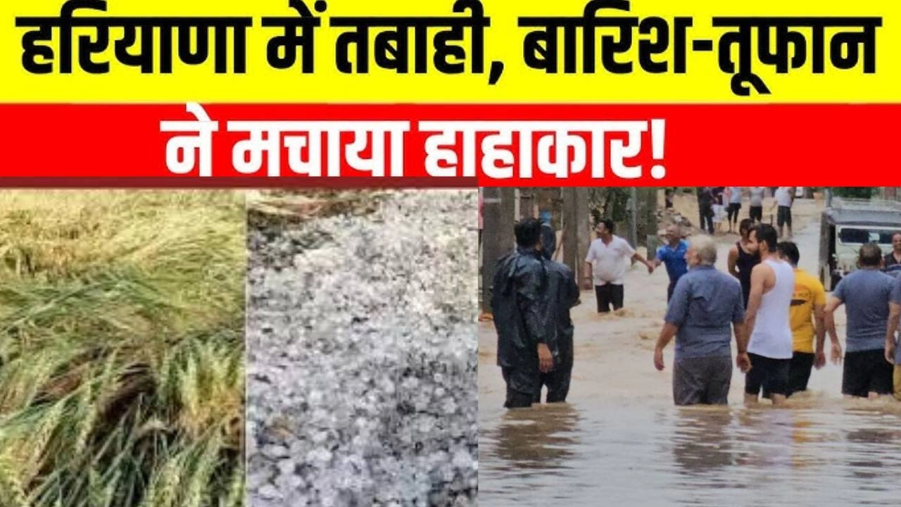 हरियाणा में आंधी-बारिश ने किया भारी नुकसान, इन जिलों में कल भी बारिश!