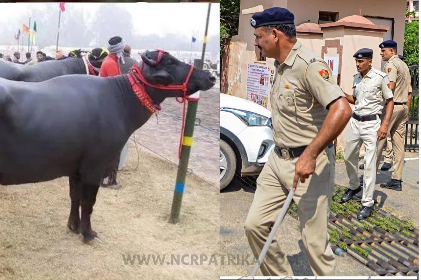 पहले रामपुर के नेता की भैंस खोजती थी पुलिस