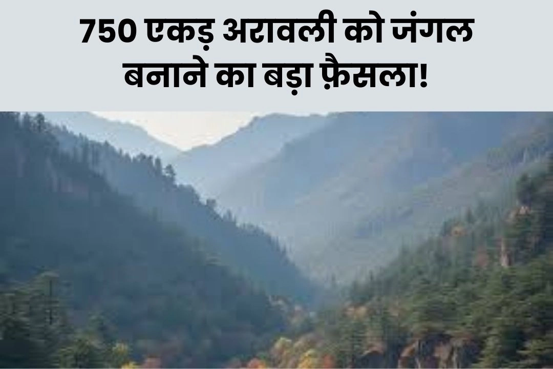 गुरुग्राम में 750 एकड़ अरावली को जंगल बनाने का बड़ा फ़ैसला!