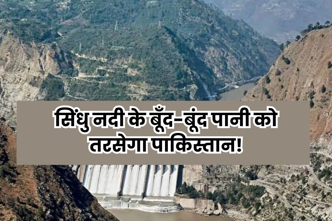 सिंधु नदी के बूँद-बूंद पानी को तरसेगा पाकिस्तान!