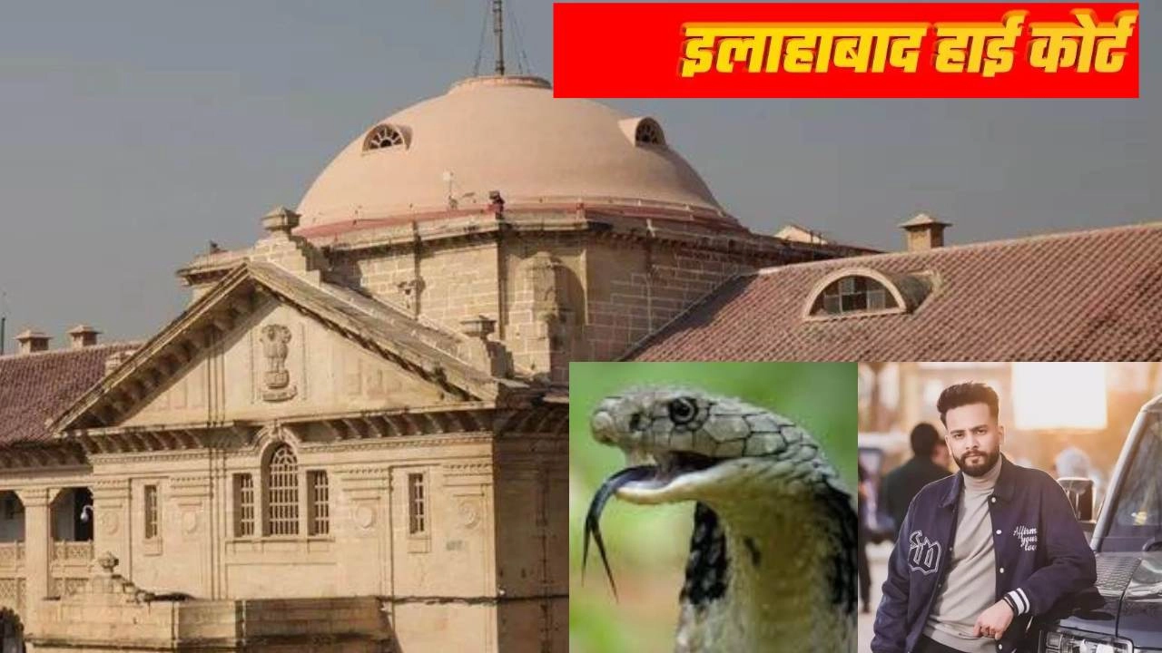 एल्विश यादव को बड़ा झटका, इलाहाबाद हाइकोर्ट ने चार्जशीट रद्द करने संबंधी याचिका की खारिज!