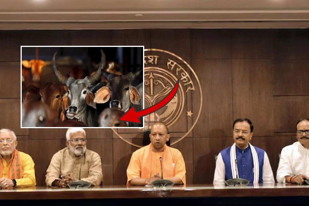 यूपी कैबिनेट ने इन 22 प्रस्तावों पर लगाई मुहर!