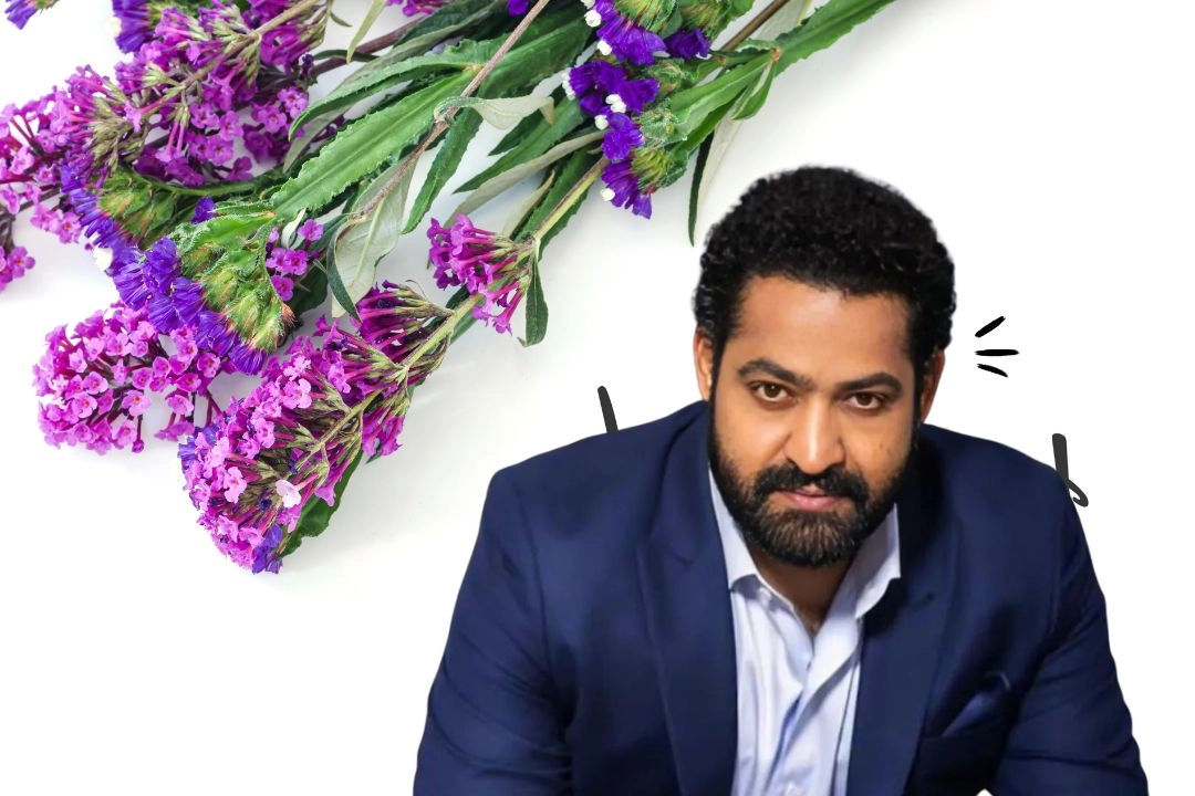 43 के हुए साउथ सुपरस्टार जूनियर NTR; दादा 3 बार CM, पिता भी थे बड़े नेता!