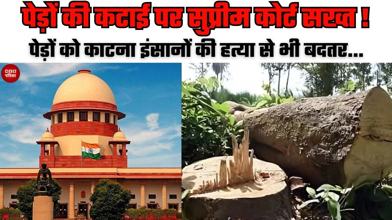 पेड़ों की कटाई पर सुप्रीम कोर्ट सख्त, लगाया 4.54 करोड़ का जुर्माना!
