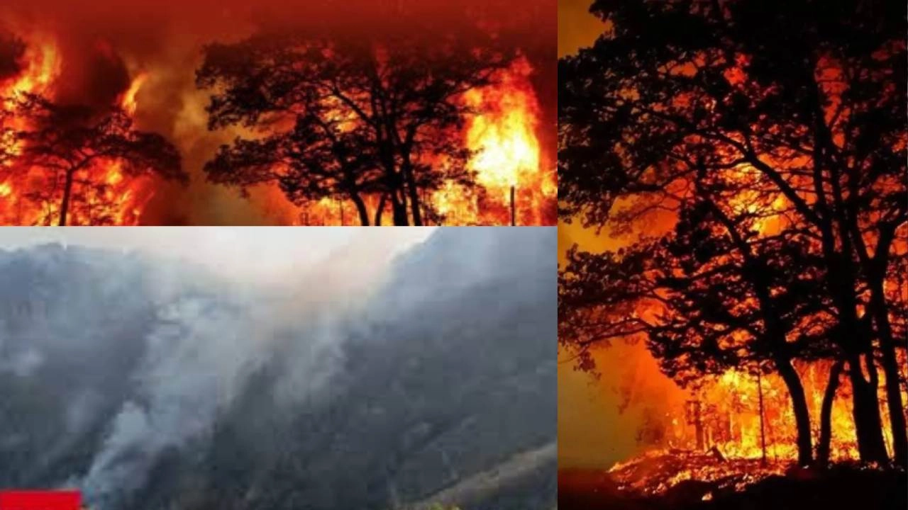 प्रचंड होती गर्मी, धधकने लगे उत्तराखंड के जंगल!