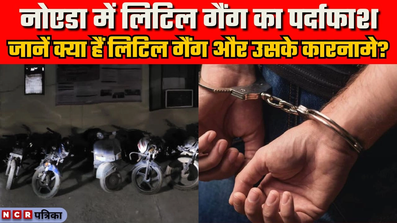 नोएडा में लिटिल गैंग का पर्दाफाश