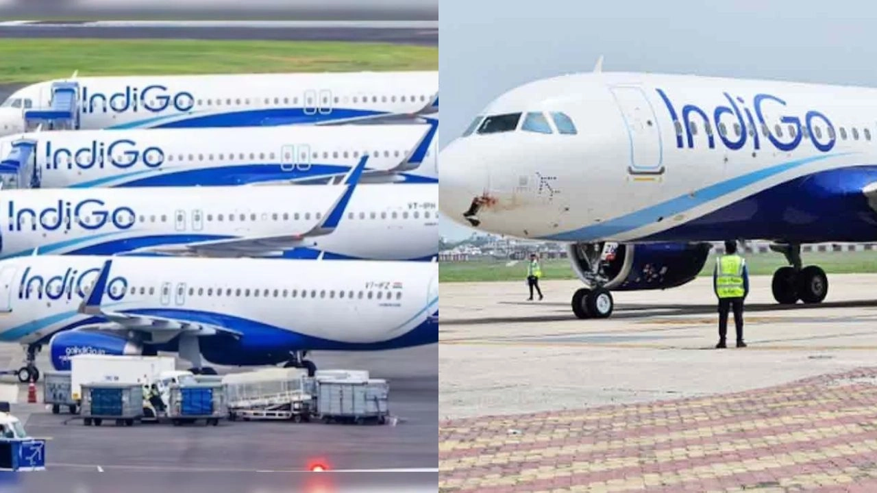 Indigo; किराए के प्लेन से शुरू, अब 64% आसमान पर कब्ज़ा!